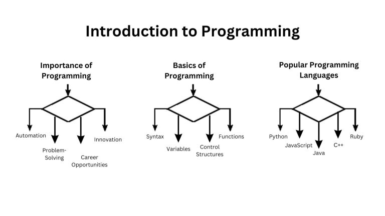 Introduction to Programming : A Beginner’s Guide to Coding and Problem Solving