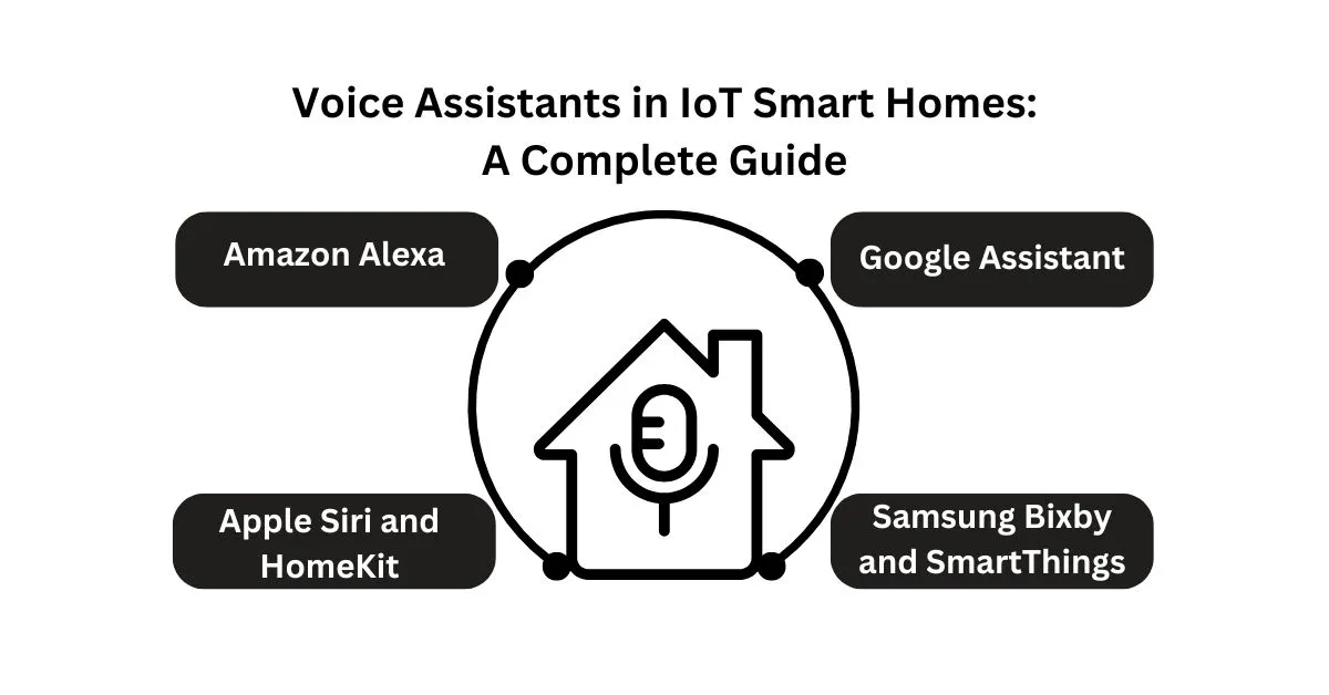 Voice Assistants in IoT Smart Homes